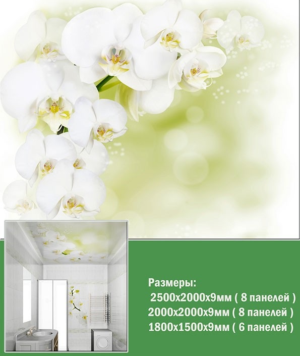 ПВХ панели для потолка Novita, Белая орхидея